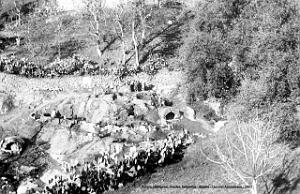 Images d'Algerie 225a